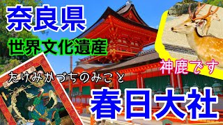 【奈良県】🌈春日大社で運気向上🌈