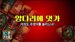 [이큰타로] 양다리에 댓가/ 아직도 주댕이를 놀리느냐!