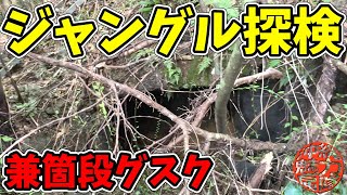 【兼箇段グスク】ジャングルを彷徨い兼箇段の壕を求めてみたは良いけれど・・・