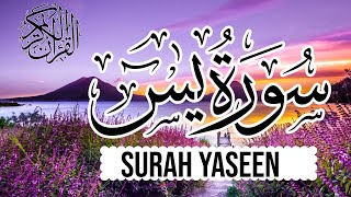 Surah Yaseen!! Yasin ! Quran Majid! tilawat ! Yasin Sarif !!