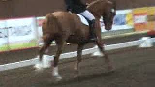 aramita competing