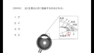 看護師国家試験過去問｜95回午後6｜吉田ゼミナール