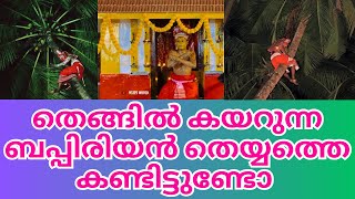 കേരളത്തിൽത്തന്നെ അത്യപൂർവ്വ തെയ്യമായ ബപ്പിരിയൻ തെയ്യം കാണാൻപോയ അനുഭവം | BAPPIRIYAN THEYYAM | KANNUR|