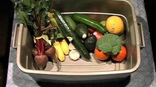 Wholesome Organic Produce Basket for Free Delivery