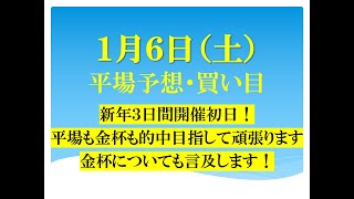 １月６日（土）平場予想・買い目。中山金杯・京都金杯についても言及します。