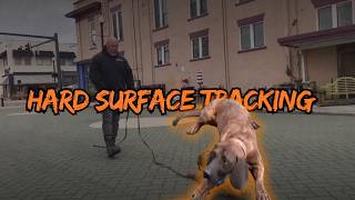 💥HARD SURFACE TRACKING: Generalizing the back-chaining process to the real world