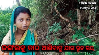 ଜଙ୍ଗଲକୁ କାଠ ଆଣିବାକୁ ଯାଇ ଭୂତ ଭୟ // odia horror vlog video // Ghost story in odia