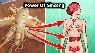 Proven Health Benefits Of Ginseng