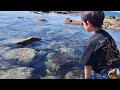 【ゴールデンビーチるもい】海で大はしゃぎの兄弟二人→黄金岬の海辺で探索したよ🐡 北海道留萌市✨ rumoi city in hokkaido