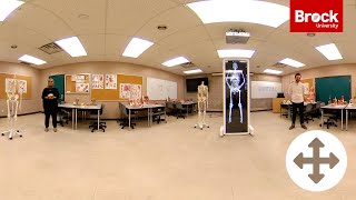 360° Lab Tours: Anatomy Lab