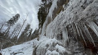 Westallgäu - Eistobel - Riedholzer Kugel  (29.Januar 2022)