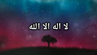 Hasbi Rabbi Lyrics || Tere Sadqe Me Aaqa || Allama Hafiz Bilal Qadri