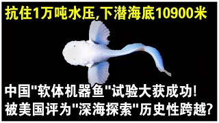 抗住1萬噸水壓，下潛海底10900米！中國“軟體機器魚”試驗大獲成功！被美國評為“深海探索”歷史性跨越？