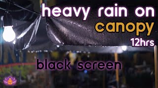 [Black Screen] Heavy Rain on Canopy No Thunder | Rain Ambience | Rain Sounds for Sleeping