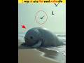 The most dangerous and alien creatures recorded in the sea #viral