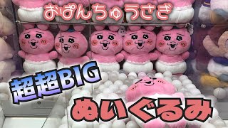 【クレーンゲーム】おぱんちゅうさぎ 超超BIG DXぬいぐるみにチャレンジ！！