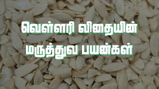 வெள்ளரிவிதையின் மருத்துவ பயன்கள் | Cucumber seeds