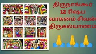 திருநாங்கூர் 12 ரிஷப வாகனம் சிவன் திருகல்யாணம் #mayavaram #lordshiva #thirukalyanam