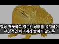 당신의 집안에