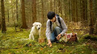 One Day Routine in Finnish Forest: How the Autumn Forest Rewards You Big!