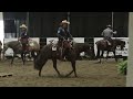 6 2 24 buckeye reining spectacular open ranch trail sam schaffhauser on sailing with my gun