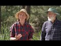 Bega River and Wetlands Landcare project video - award-winning