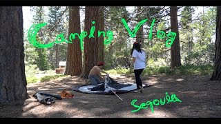 Sequoia camping vlog. 여자친구와 미국에서 캠핑을