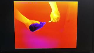 FPGA Video Processing - Colorization