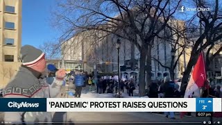 Pandemic protest raises questions