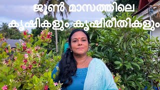 MONSOON SPECIAL | ജൂൺ മാസത്തിലെ കൃഷികളും കൃഷിരീതികളും |