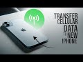 How to Transfer Cellular Data to New iPhone (tutorial)