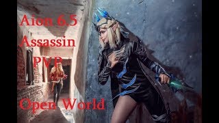 Aion 6.5 KR Assassin 80 lvl PVP Open World + Bonus