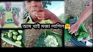 আজি আম খাই মজা লাগিল🤗🤗🤗mohendra vlogs