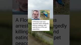 Florida Man Arrested After Allegedly Killing, Cooking, and Eating His Pet Peacocks
