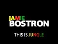 jamie bostron this is jungle jungle. dnb reggae mix