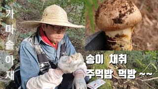 마지막 송이산행 송이버섯따러 갔다가 먹방 찍고 왔네요~  I went to pick a hiking song and filmed an eating show