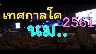 เทศกาลโคนมแห่งชาติ ประจำปี 2561