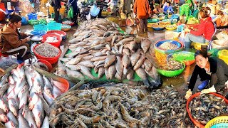 Cambodia's Best Market Finds for 2025! - Largest Fish Distribution Area in Phnom Penh.