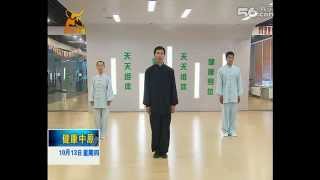 Chen Tai Chi Harmony 13 Form by Chen Bing