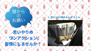 【猫からのお願い】猫バンバンって知ってますか？