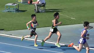 ⑲とあ6年男子800m 第29回ジュニア陸上競技チャレンジカップ20240505