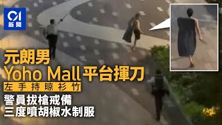 元朗男Yoho Mall平台揮刀 警員拔槍戒備 三噴胡椒水制服｜01新聞｜持刀｜胡椒水｜元朗｜元點｜警槍