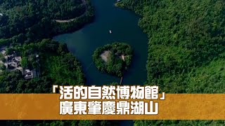 「活的自然博物館」 廣東肇慶鼎湖山