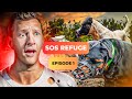 Ce refuge est au bord du PRÉCIPICE avec les chiens AGRESSIFS - SOS Refuge Episode 1