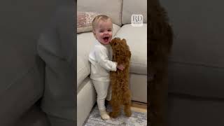 Adorable Puppy and Baby Meet for the Very First Time
