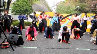 【下駄っぱーず】ICU祭２０１１　festivo