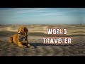 STREET DOG TURNS WORLD TRAVELER  // Hasta Alaska // S04E02