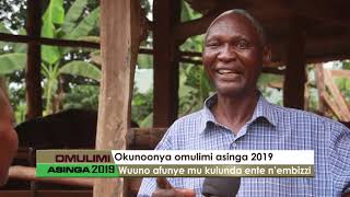 OMULIMI ASINGA:Okunoonya omulimi asinga 2019