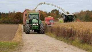 Majshøst på Nygaard i Trustrup 17. oktober 2010 - Corn harvest!