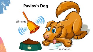 Pavlov's Dog experiment | Classical conditioning theory | Respondent conditioning